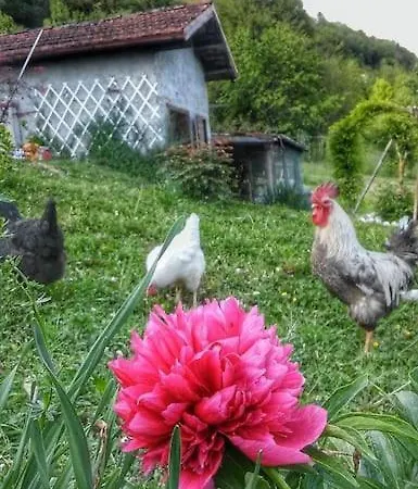 アパート Casa Nella Natura Il Risveglio Degli Elfi