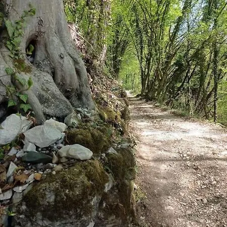 Casa Nella Natura Il Risveglio Degli Elfi