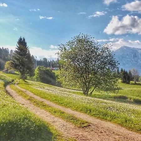 Casa Nella Natura Il Risveglio Degli Elfi