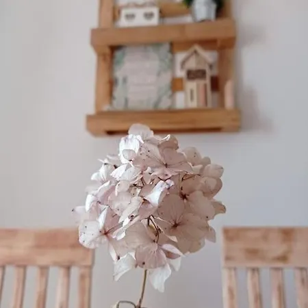 Casa Nella Natura Il Risveglio Degli Elfi ペダヴェーナ