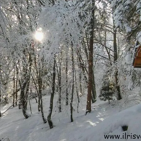 Casa Nella Natura Il Risveglio Degli Elfi ペダヴェーナ